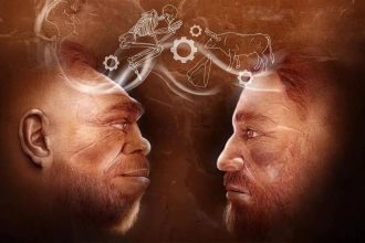 Scientists uncover 110,000-year-old evidence in Israel of humans and Neanderthals working together
