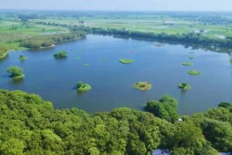Shekha Jheel Bird Sanctuary of Aligarh gets a global tag, taking India's tally of protected wetlands to 99