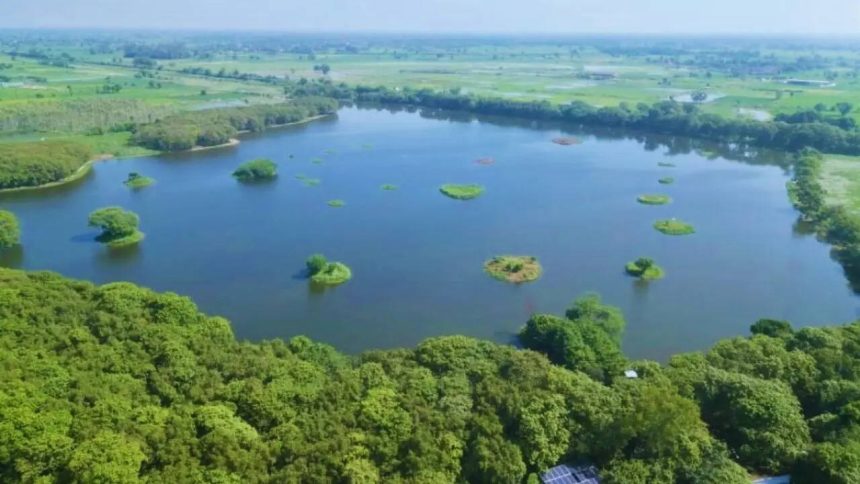 Shekha Jheel Bird Sanctuary of Aligarh gets a global tag, taking India's tally of protected wetlands to 99