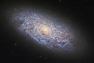 Small galaxies, big questions: Study probes black holes in dwarf systems