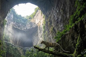 This giant 'heavenly pit' in China holds a hidden ecosystem below ground that has its own climate and wildlife