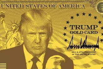 Trump's 'Gold Card' visa: One cleared, hundreds await as $1 million residency plan rolls out