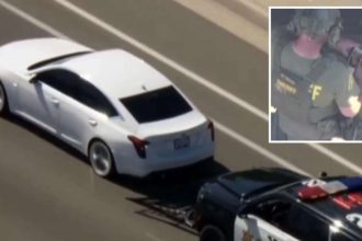 US cop caught swiping on dating app during high-speed chase with armed suspect