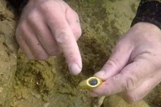 What lies beneath the Mediterranean will shock you: Ancient shipwrecks expose gold, coins, and forgotten histories