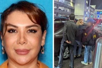 Who is Shamim Mafi? Iranian woman arrested in LA for trafficking arms on behalf of Tehran
