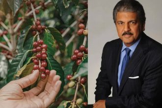 Why is Anand Mahindra still emotionally connected to a 60-acre coffee plantation from his childhood