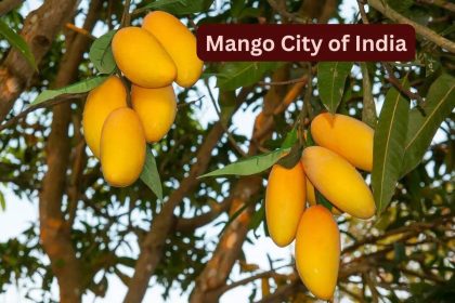Why May is the best time to visit the “Mango City of India” and how to reach here