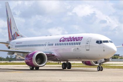 Woman gives birth on NYC-bound plane: Immigration attorney explains if baby will be considered US citizen