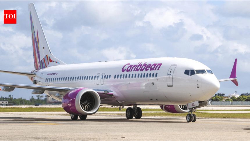 Woman gives birth on NYC-bound plane: Immigration attorney explains if baby will be considered US citizen