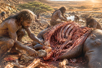 1.6 million-year-old bones reveal how the first humans really got their meat