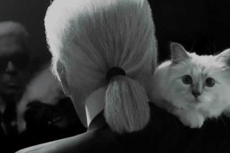 $200 million kitty: Meet Choupette, the world's richest cat, whose lifestyle would make Cleopatra envious