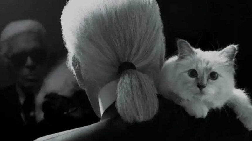 $200 million kitty: Meet Choupette, the world's richest cat, whose lifestyle would make Cleopatra envious