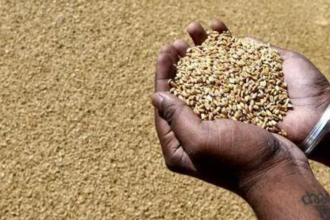 2025-26 foodgrain production estimated at record 376 MT