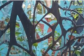 5 art villages of india where art has been passed down from generations and is a way of life