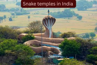 5 snake temples in India that attract thousands of devotees and curious travellers every year