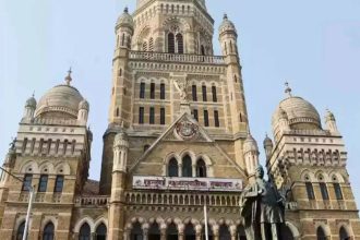 79 Mumbai corporators face poll challenges as political heirs, former corporators move court