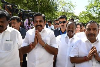 AIADMK vs AIADMK: How support to Vijay's TVK has 'split' Amma's party again