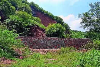 Centre bats for woman IFS officer to head HPEC on Aravali definition