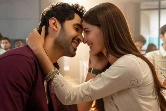 'Chand Mera Dil' ending explained: Do Aarav-Chandni resolve their differences?