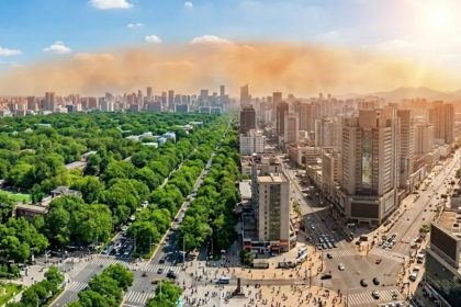 Cities could become twice as deadly without trees: Study reveals how urban forests slash heat by nearly 50%