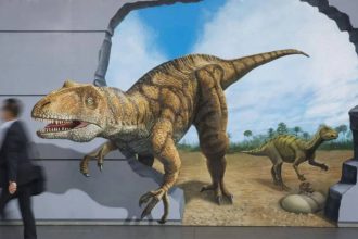 Did dinosaurs decide how humans age today: The hidden evolutionary secret of human ageing