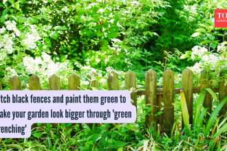 Ditch black fences and paint them green to make your garden look bigger through 'green drenching'