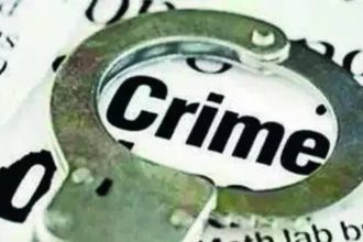 Elderly woman assaulted by neighbours in Pune after argument about pet cats