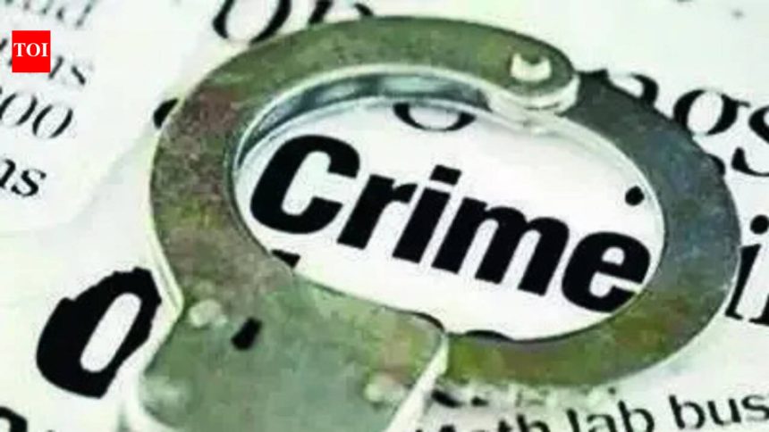 Elderly woman assaulted by neighbours in Pune after argument about pet cats