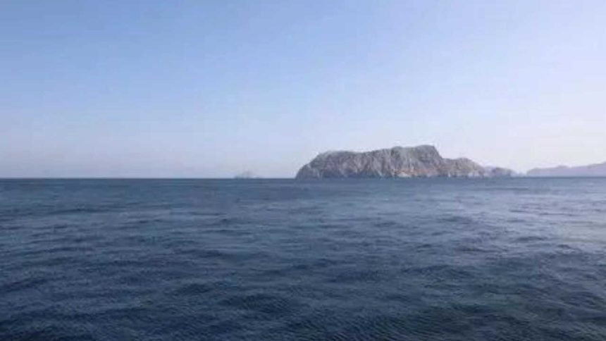 Fertiliser stuck in Persian Gulf, govt plans to move it by road to port