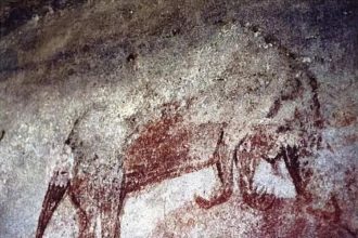 Forgotten fossils reveal the giant egg-laying mammals of ancient Australia