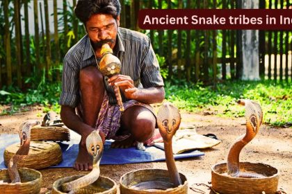 From Sapera to Irulas: Famous snake tribes of India and why they fascinate travellers from the world over