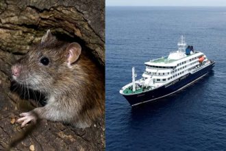 Hantavirus outbreak: WHO warns 12 countries after South Atlantic cruise ship confirmed cases; raising global travel health co