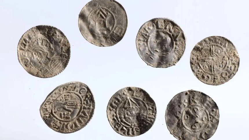 Hidden for 1,000 years: Massive Viking silver coin hoard containing 3,000 coins discovered in Norway