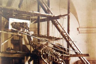 In 1878, coal miners struck a glittering seam of 'fool's gold' and unearthed a massive dinosaur graveyard