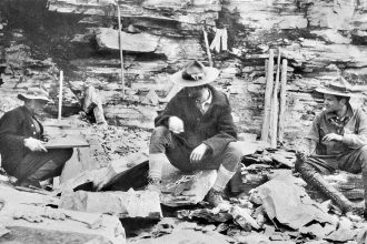In 1909, an explorer found strange markings in the rock and unearthed the Burgess Shale, a 500-million-year-old secret