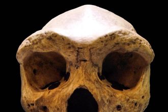 In 1921, a miner’s dynamite blast in Zambia unearthed a face that rewrote the map of human evolution