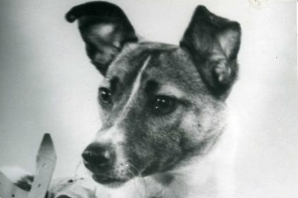 In 1957, a Moscow stray dog was sent into orbit, and her lonely flight paved the way for human space travel