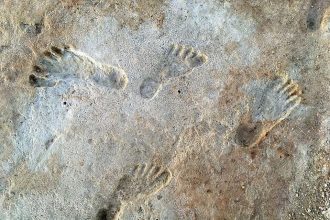 In 2021, researchers scanning a New Mexico lakebed found 23,000-year-old human footprints that rewrote the oldest chapter of