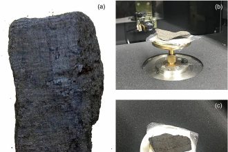 In the 1750s, labourers digging a well near Herculaneum found 'charcoal' rolls that were actually a lost Roman library