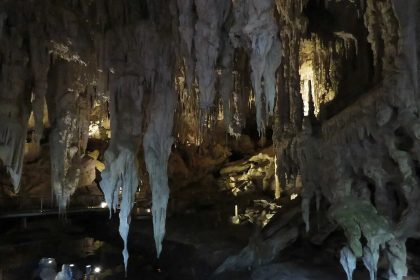 In the early 1900s, cavers in Western Australia found massive bones and unearthed Mammoth Cave, a lost world of giant fossils