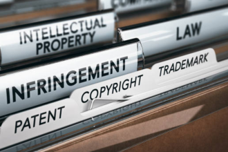 India continues to be on US priority watch list on IPR