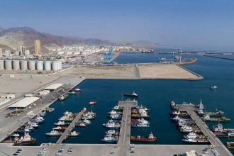India, UAE working on pact to help in evacuation of Indians via Fujairah port