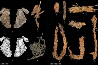 Inside a cave older than Egypt’s pyramids: 12,000-year-old stitched piece of elk hide may be the world’s oldest clothing