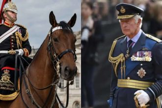 King Charles ‘shocked and saddened’ as British soldier dies after falling from horse