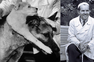 Meet Vladimir Demikhov: Scientist who created a two-headed dog and changed medicine forever