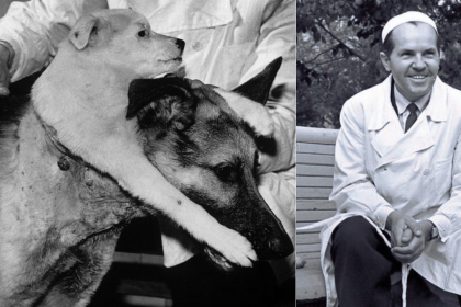 Meet Vladimir Demikhov: Scientist who created a two-headed dog and changed medicine forever