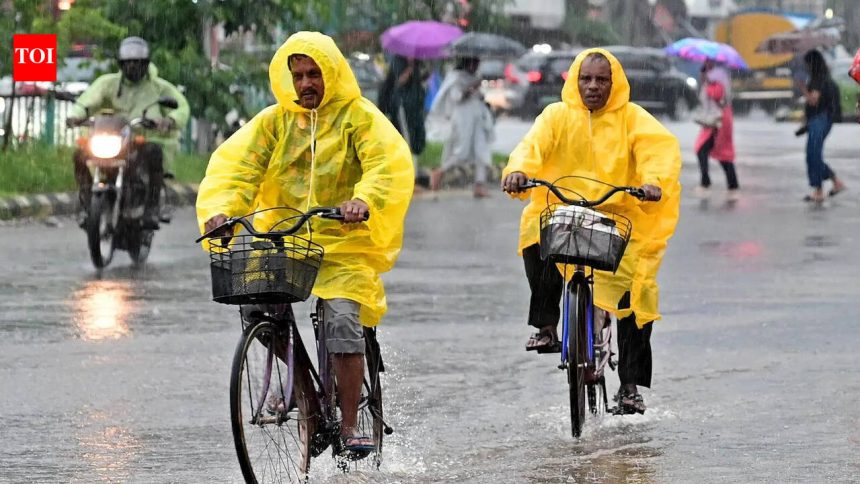 Monsoon 2026 may stay below normal across most of Maharashtra: IMD
