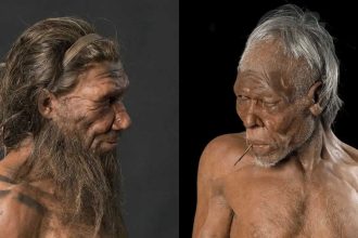 Neanderthals vs Homo sapiens: What separated modern humans from their ancient cousins