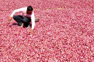 Onion growers term ₹1,235 per quintal rate unviable and anti-farmer, demand ₹3,000 per quintal