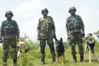 Operation Sheruwali enters day 4, searches intensified